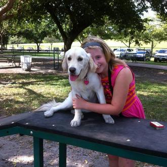 Foto de Dolça, hembra y de raza Golden Retriever