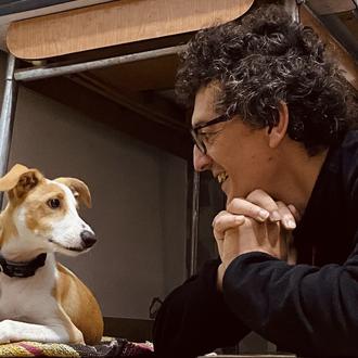 Foto de Salvador Bernstein, macho y de raza Podenco Portugués