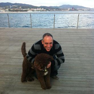 Foto de Brownie, macho y de raza Perro de aguas español