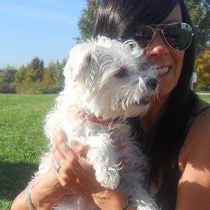 Foto de Lucky, macho y de raza Bichon Maltes