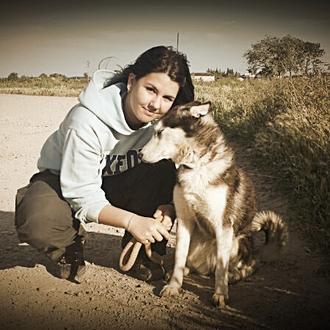 Foto de Bonie, hembra y de raza Husky siberiano