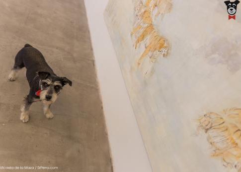 Galería Magda Bellotti