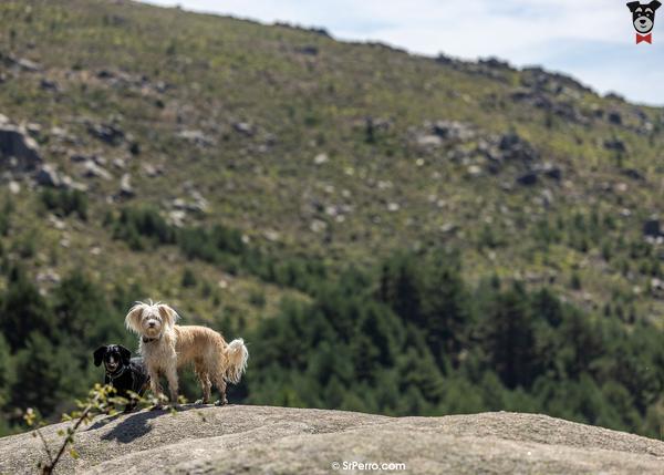 Rutas por el Valle de la Barranca