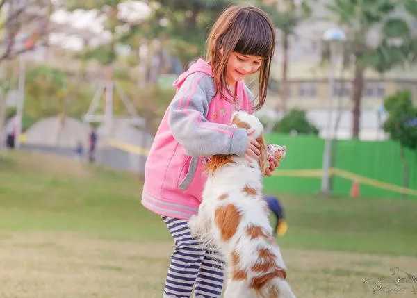 Es clave enseñar a los niños a entender y reaccionar ante las emociones de los perros, especialmente el miedo