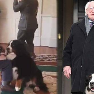 El (gran) perro del Presidente de Irlanda se cuela en …