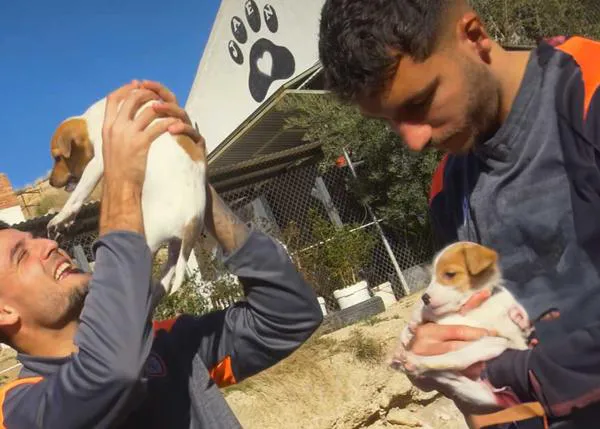 El Real Jaén CF ayuda a las protectoras Abyda, Huella de Jaén y Salvando Ángeles de las Calles a fomentar la adopción