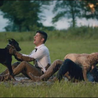 40 perros de protectora en un feliz y genial vídeo …