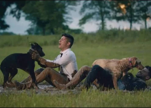 40 perros de protectora en un feliz y genial vídeo musical que fomenta las adopciones
