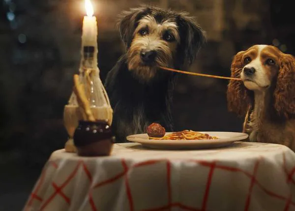 Repaso a las mejores actuaciones caninas en el cine y la TV en EEUU, ¿a quién nominarías en España?