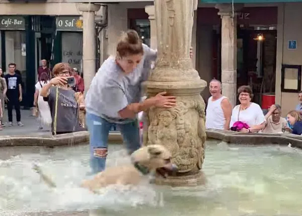Una perra locuela se lanza a disfrutar del agua en una fuente en Ourense, se niega a salir, ¡y se hace famosa en medio mundo!