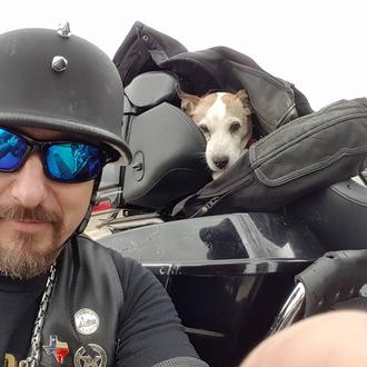 Un perro abandonado sube a una Harley, encuentra un hogar …