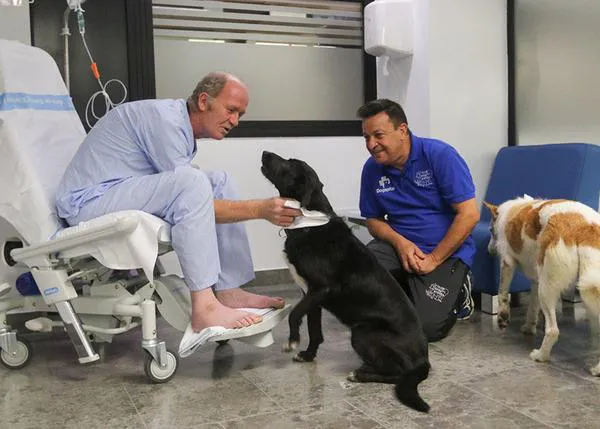 Porque el cariño también cura: desde hace año y medio DOGSPITAL reúne a pacientes con sus perros