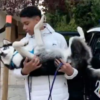 La Policía Nacional rescata a un cachorro de Husky que …