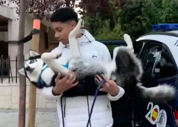 La Policía Nacional rescata a un cachorro de Husky que se había perdido en Madrid