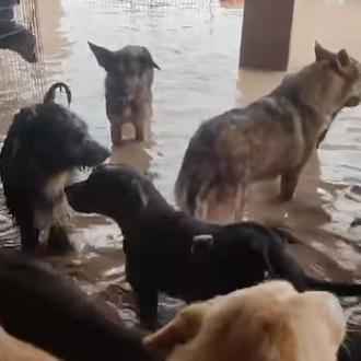 Las lluvias que han arrasado Valencia dejan 51 muertos y …