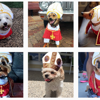 El Papa Perro y otros disfraces caninos para triunfar en …