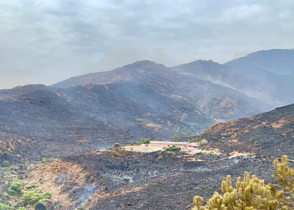 Pequeño milagro para la protectora ADANA en Estepona: el fuego de Sierra Bermeja rodea pero respeta sus instalaciones