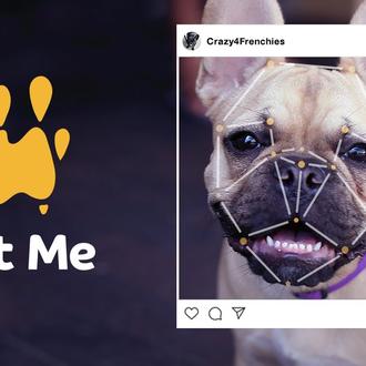 Inteligencia artificial para fomentar las adopciones de perros desde instagram …