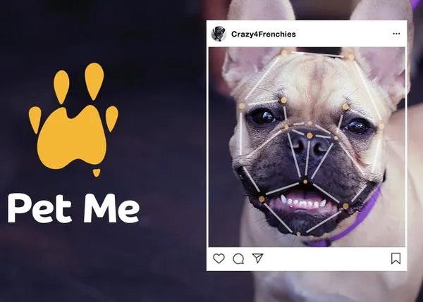 Inteligencia artificial para fomentar las adopciones de perros desde instagram: PetMe