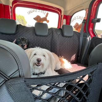 Viajar con perro en coche versión comedia: porque hay canes …