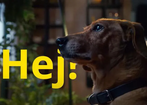 El primer anuncio protagonizado por un perro para la Navidad 2024 llega de la mano de IKEA