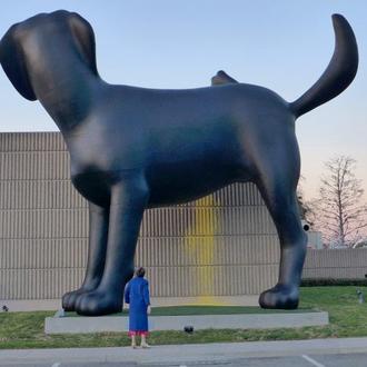 Bad Dog, el gran, gran perro meón de Richard Jackson