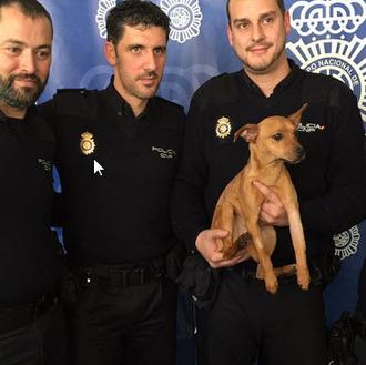 La policía de Alicante rescata y adopta a un cachorrote …