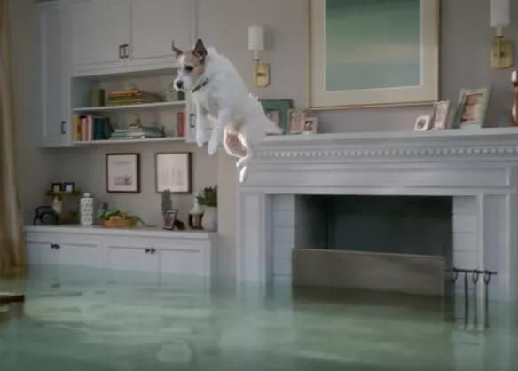 Cinco trastos pasándoselo en grande: los perros sirena en la casa inundada