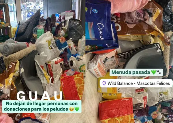 Puntos de recogida de mantas y alimentos para ayudar a las protectoras de Valencia: en Valencia, Alicante, Madrid...