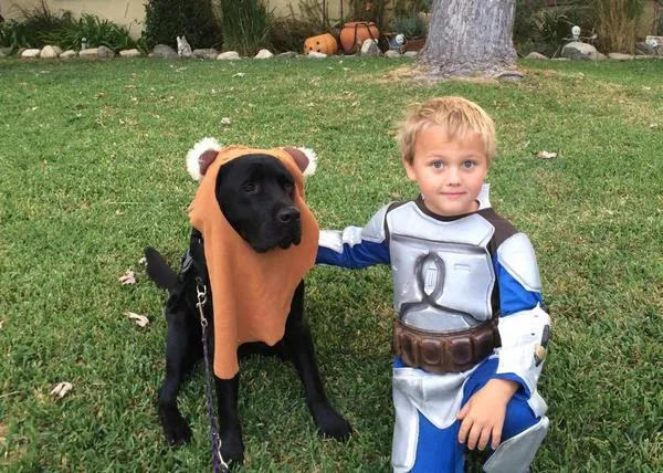 Luke y Jedi: la fuerza conjunta de un niño con diabetes y su perro de alerta médica