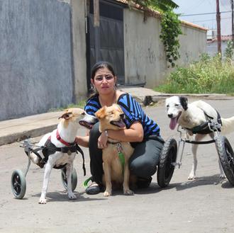 Los perros de Venezuela necesitan ayuda, ¿les echamos una pata?