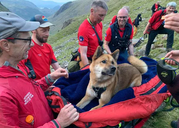 13 personas y 4 horas: así ha sido el rescate de un perro de 33kg 