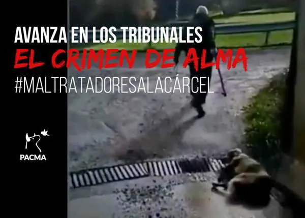 PACMA sigue luchando por llevar a la cárcel al cazador que tiroteó y mató a una perra recién parida en Lugo