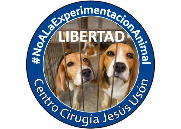 Solicitan la liberación de Beagles usados en pruebas presuntamente innecesarias en el Centro de Cirugía Jesús Usón de Cáceres