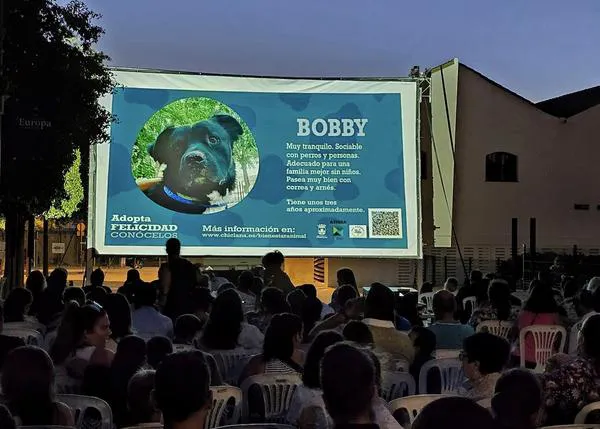 Imágenes de perros y gatos en adopción antes de las películas del cine de verano: la gran idea del Ayuntamiento de Chiclana