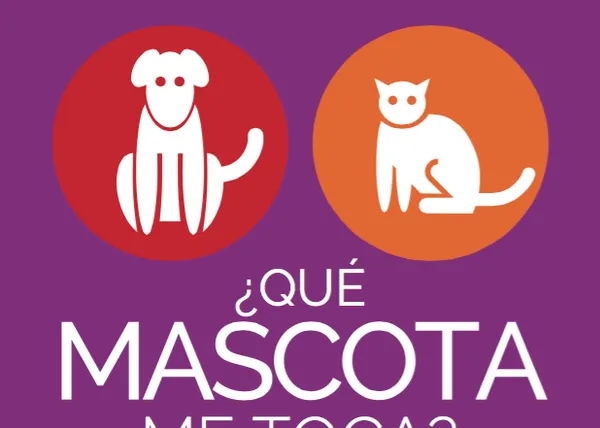 ¿Cómo elegir un perro? Guía práctica del Colegio de Veterinarios de Valencia