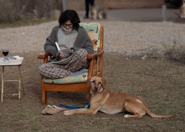 La Historia De Flor La Cachorra De La Cara Quemada Estrella De Cine De La Mano De Isabel 8385