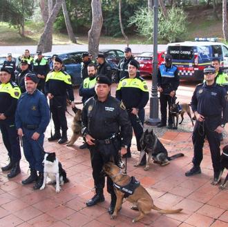 En Vila-real, los perros policía también van a aprender a …