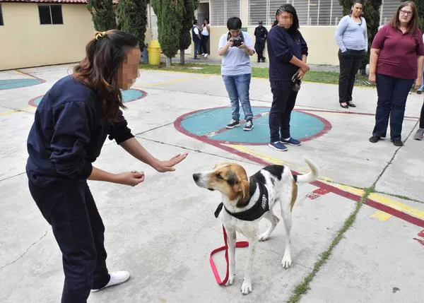 Dejando Huella: el proyecto piloto que ayuda a reinsertar a jóvenes delincuentes que educan a perros de asistencia