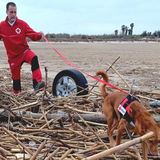 Ante la oleada de bulos sobre Cruz Roja, Carme Chaparro …