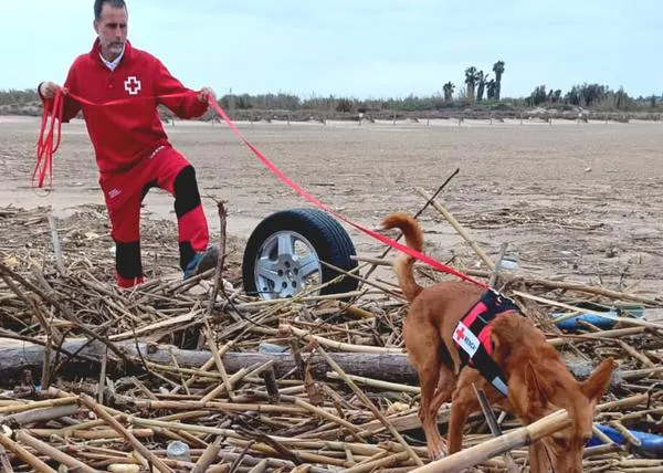 Ante la oleada de bulos sobre Cruz Roja, Carme Chaparro destaca la labor -real y altruista- de su hermano y su perro de búsqueda