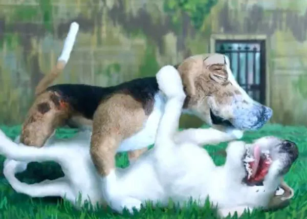 Un corto de animación denuncia cómo los cazadores matan a los Foxhounds ingleses que no les sirven