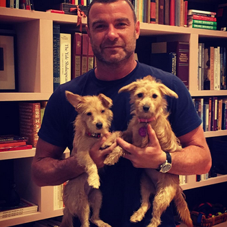 Liev Schreiber adopta a dos perros rescatados tras el Huracan …