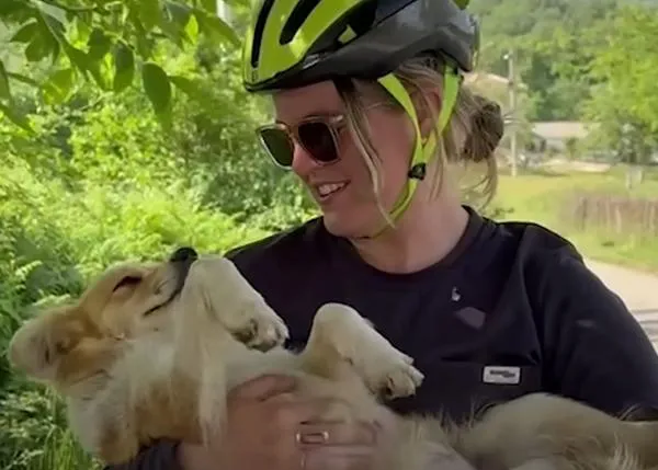 Una perra callejera de lo más lista: adopta a sus humanas, que iban de viaje en bici por Montenegro