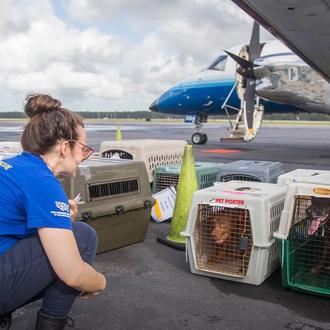 Por tierra o por aire: rescatan y trasladan a cientos …