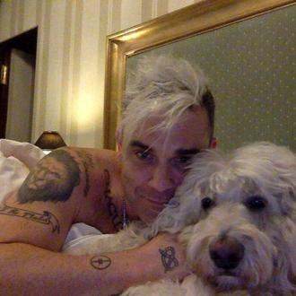 Robbie Williams se despide de su can, Spencer Williams, en …
