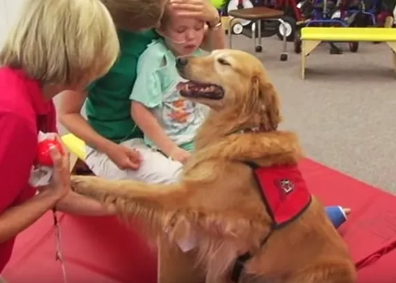 Un perro de terapia, la mejor medicina para un niño con traumatismo craneoencefálico