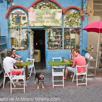 ¿Puedes ir de tapas con tu perro en Valladolid? Sí