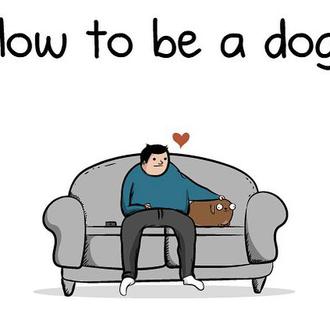 Lección básica sobre el vínculo entre personas y perros (especial …