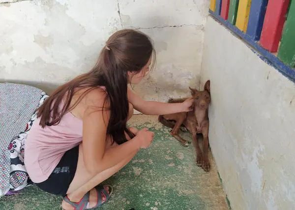 Historia de un rescate, o cómo el miedo va desapareciendo, poco a poco, de los ojos de un perro